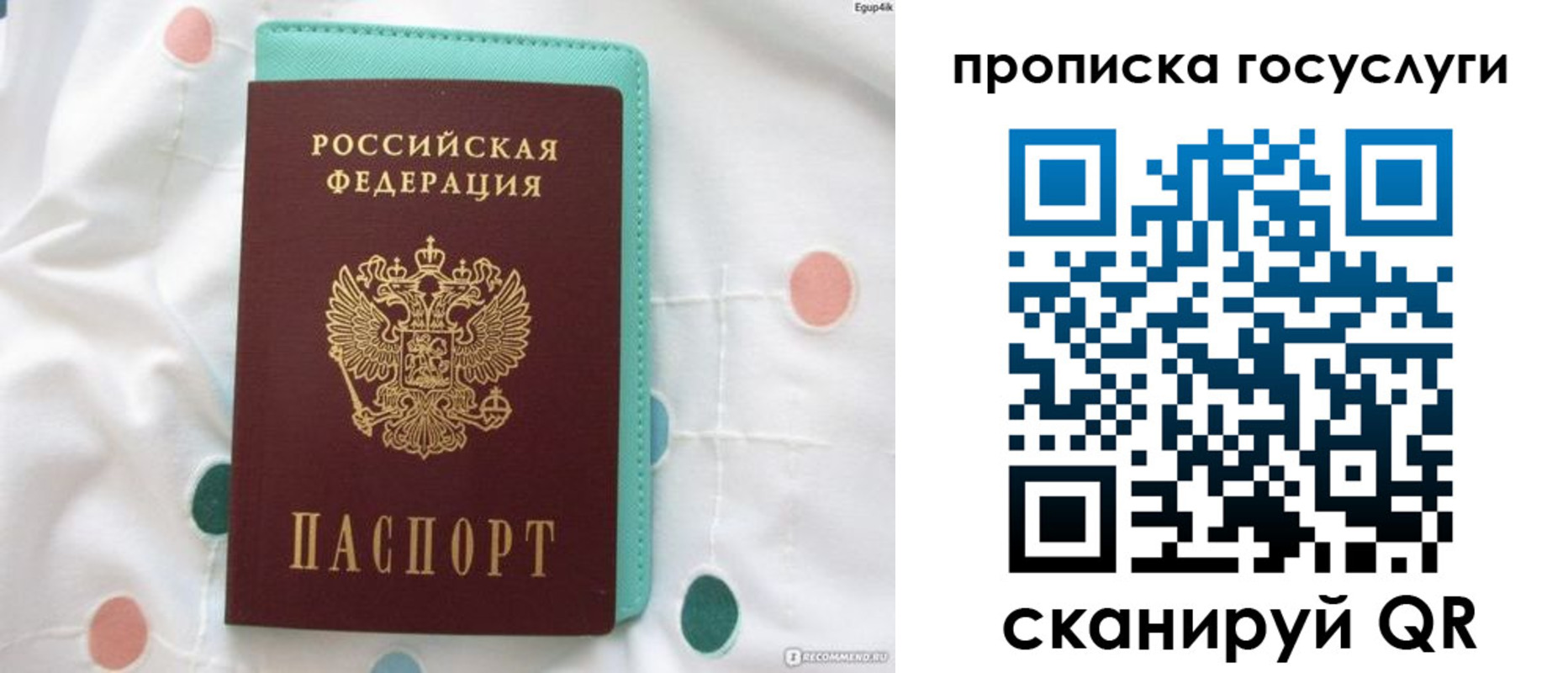 прописка поиск в Ступино